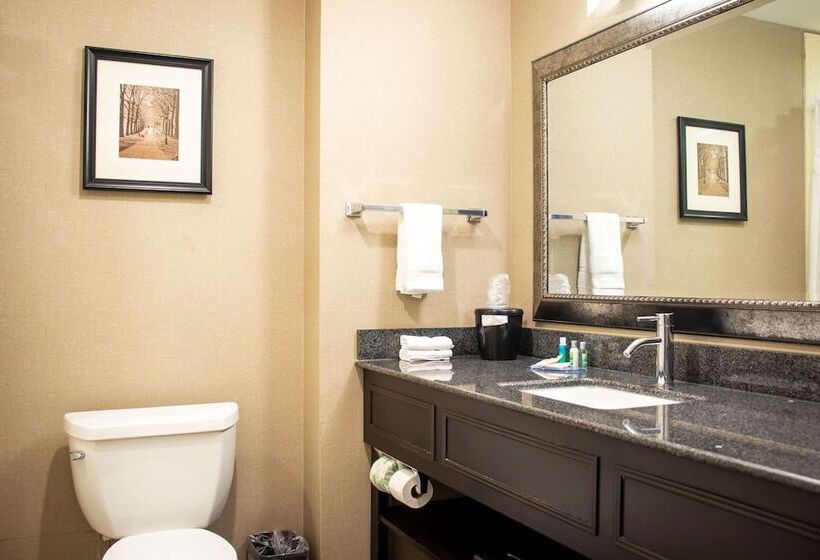 스탠다드 룸 더블 침대 2개, Comfort Inn & Suites Plainvillefoxboro