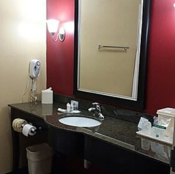 套房, Comfort Suites
