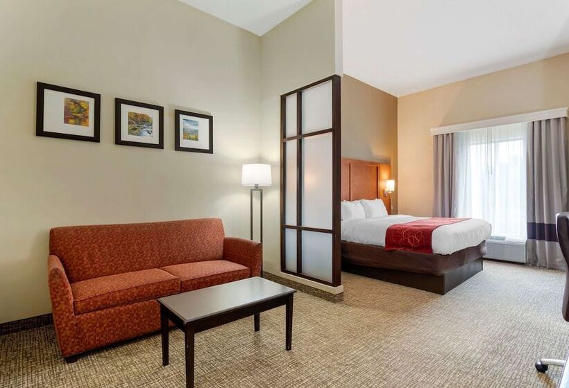 套房, Comfort Suites