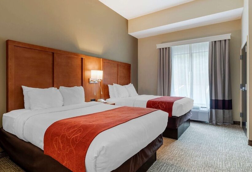套房, Comfort Suites