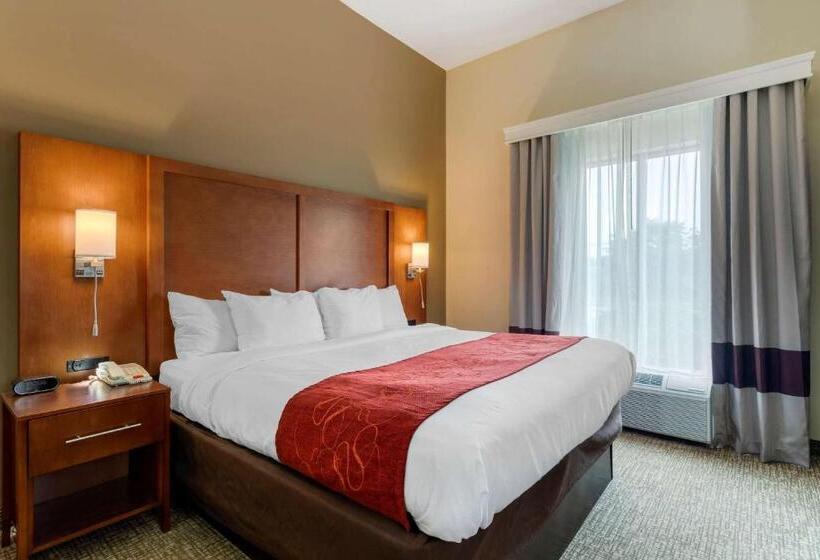 带大床的标准间, Comfort Suites