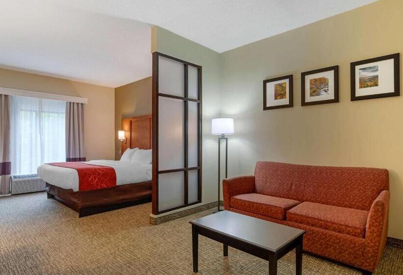 适合残疾人士使用的套间, Comfort Suites