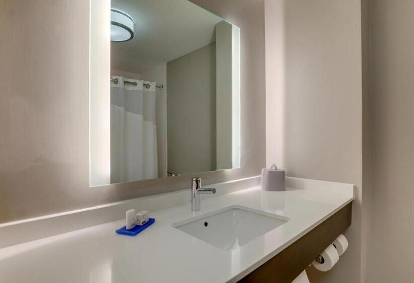 Люкс Кровать Кинг, Holiday Inn Express Hotel & Suites Bryan Montpelier, An Ihg