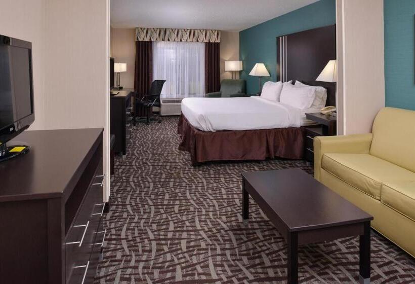 스위트 킹사이즈 침대, Holiday Inn Express Hotel & Suites Youngstown   North Lima/boardman, An Ihg