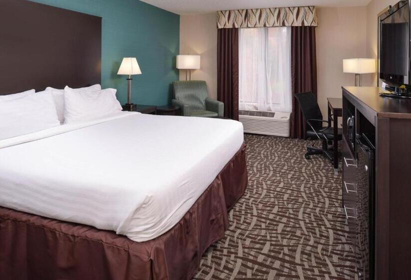 스탠다드 룸 킹사이즈 침대, Holiday Inn Express Hotel & Suites Youngstown   North Lima/boardman, An Ihg