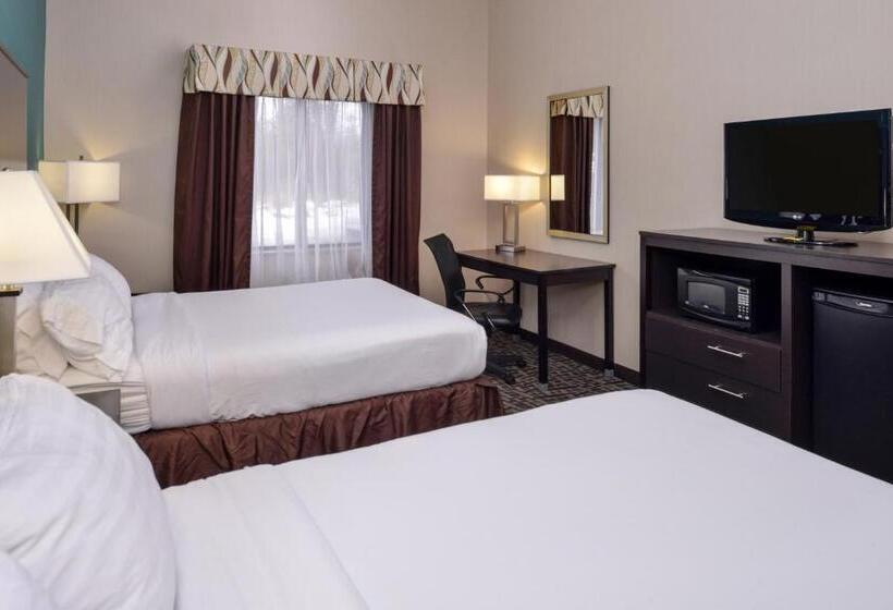 장애인을 위한 퀸사이즈 스탠다드 룸, Holiday Inn Express Hotel & Suites Youngstown   North Lima/boardman, An Ihg