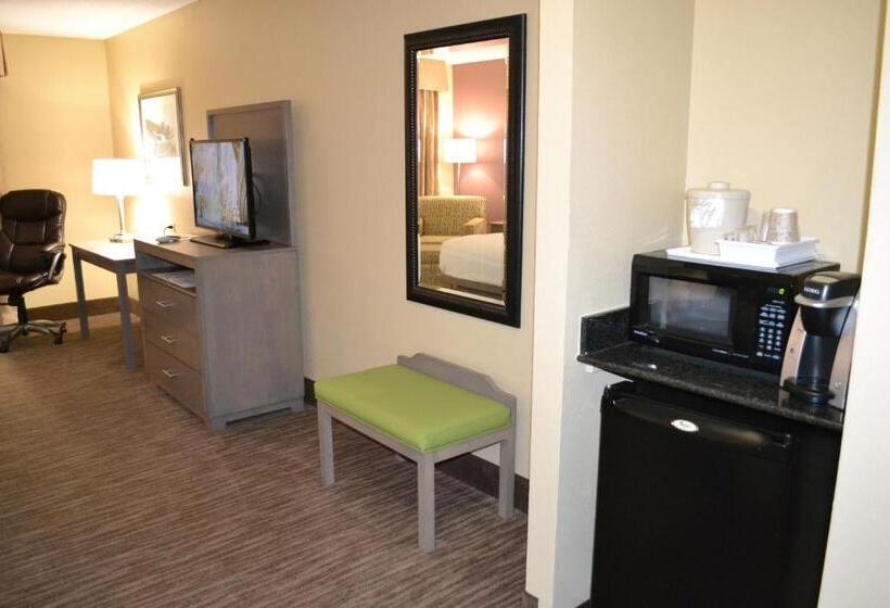 스탠다드 룸, Holiday Inn Santee By Ihg