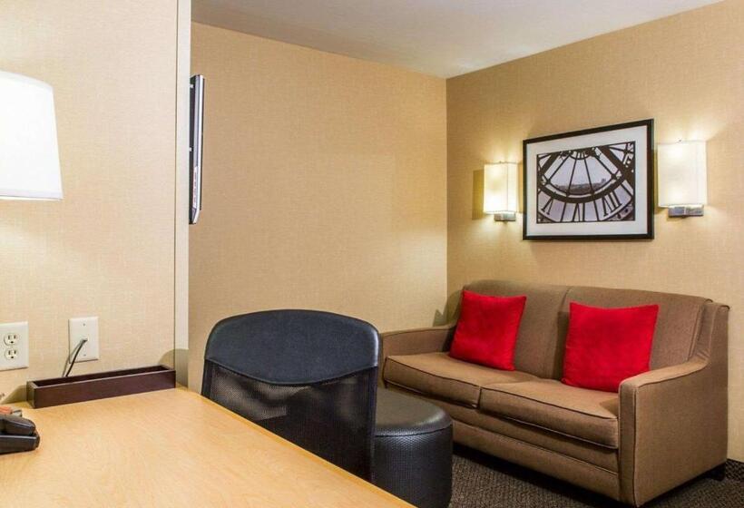 Люкс Кровать Кинг, Cambria Hotel Appleton