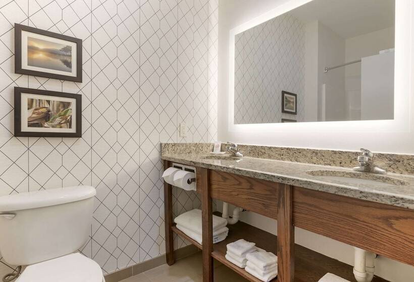 اتاق استاندارد, Comfort Inn & Suites Davenport   Quad Cities