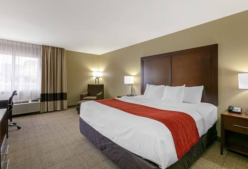 سوئیت برای معلولان, Comfort Inn & Suites Near University Of Wyoming