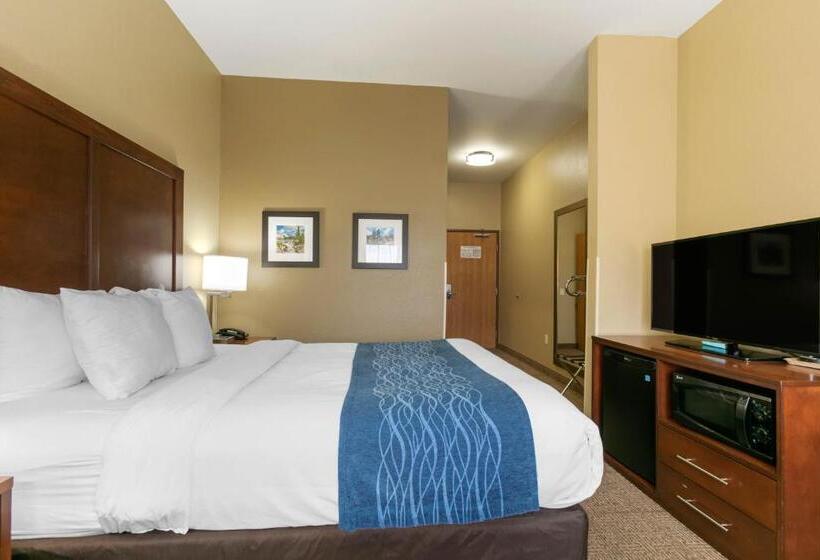 اتاق استاندارد با تخت بزرگ, Comfort Inn & Suites Near University Of Wyoming