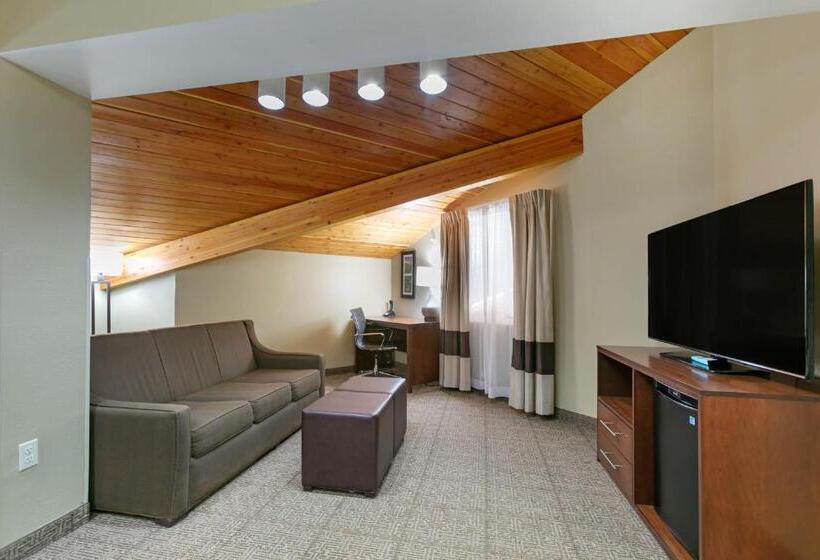 سوییت سوپریور, Comfort Inn & Suites Near University Of Wyoming