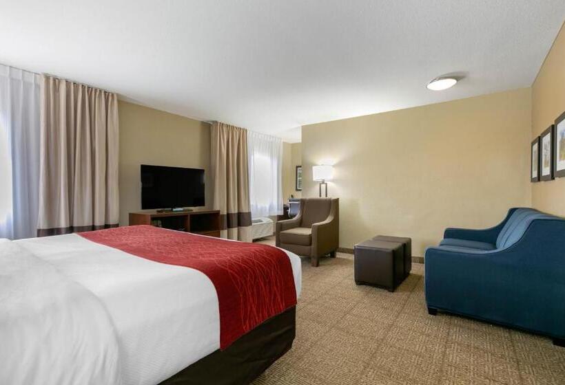 سوییت سوپریور, Comfort Inn & Suites Near University Of Wyoming