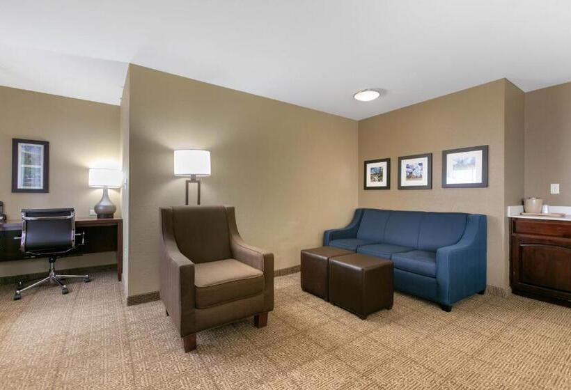 سوئیت با تخت بزرگ, Comfort Inn & Suites Near University Of Wyoming