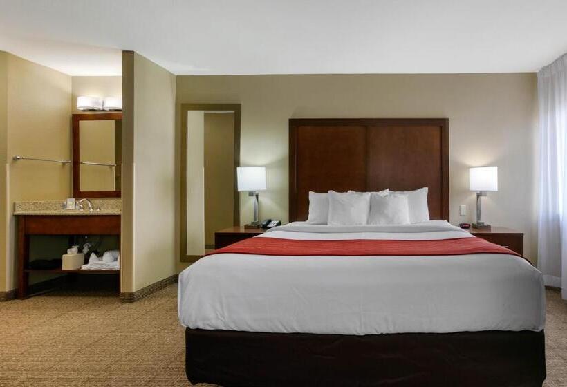 سوئیت برای معلولان, Comfort Inn & Suites Near University Of Wyoming