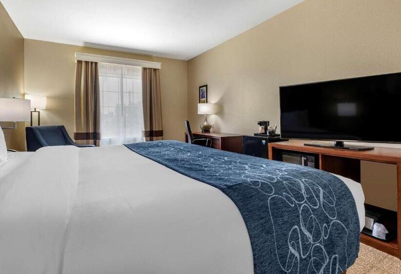Стандартный Номер Кровать Кинг, Comfort Inn & Suites Paris