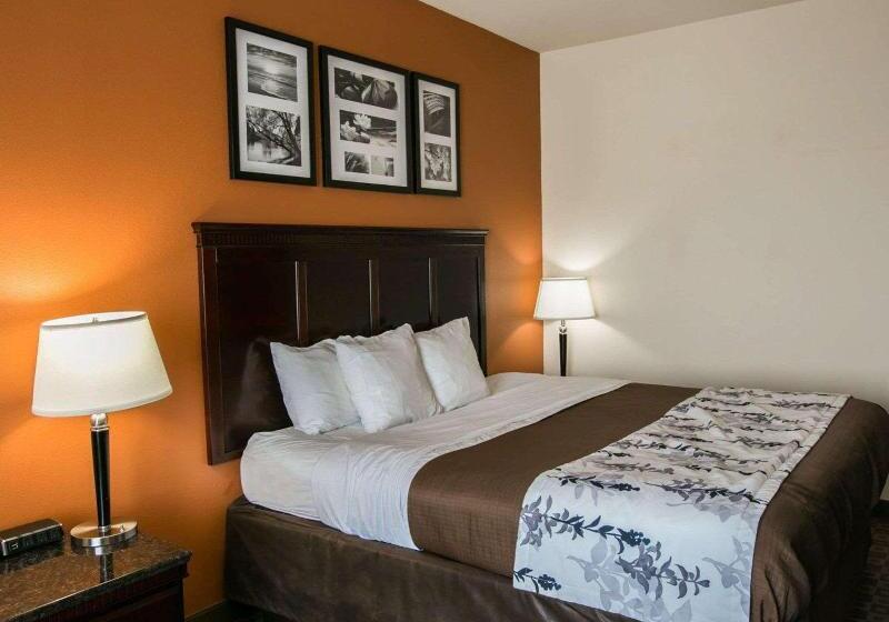 اتاق استاندارد با تخت بزرگ, Sleep Inn & Suites Hwy 290 Nw Freeway