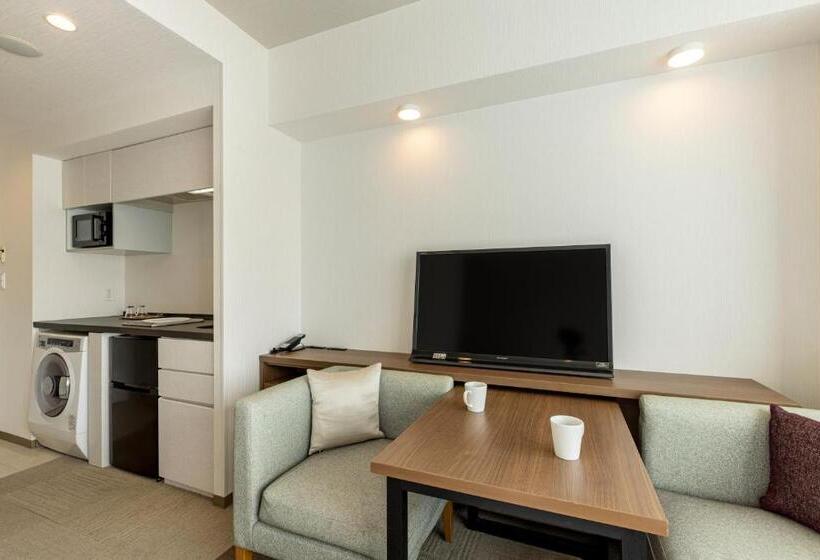 Номер Superior Вид на Город, Tokyu Stay Aoyama Premier