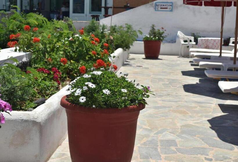 استودیوی استاندارد با چشم‌انداز دریا, Ostria Beach Studios