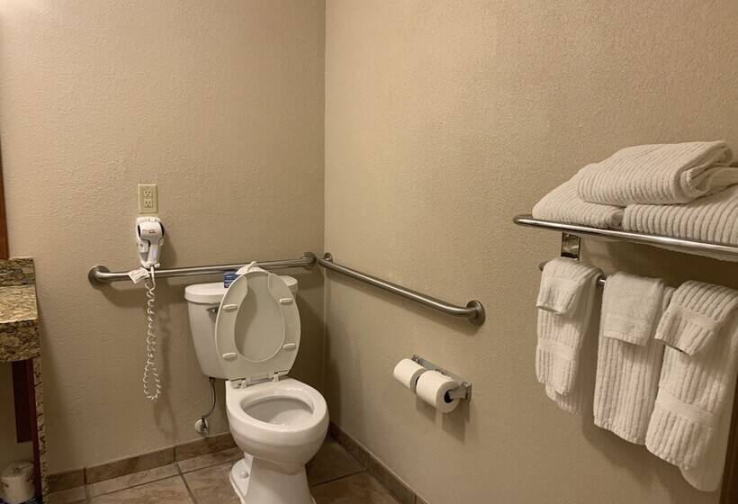 استودیوی استاندارد, Candlewood Suites Jonesboro, An Ihg