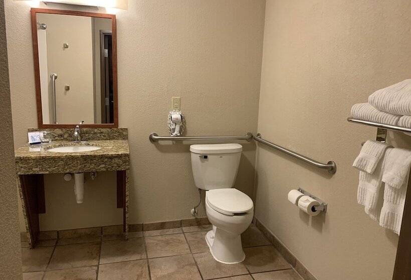 Студия Стандарт, Candlewood Suites Jonesboro, An Ihg