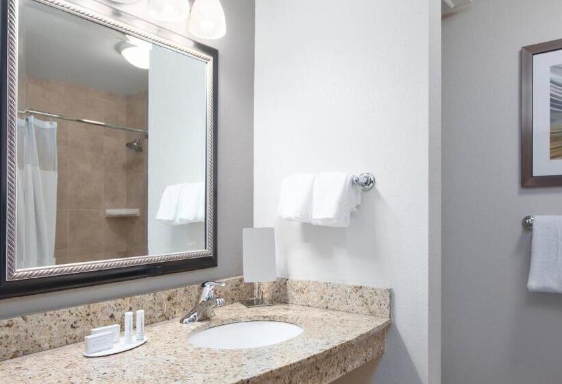 스탠다드 룸, Courtyard By Marriott Corpus Christi