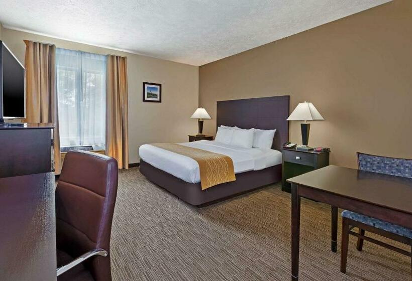 Стандартный Номер Кровать Кинг, Comfort Inn Whitehall Near Michigan S Adventure