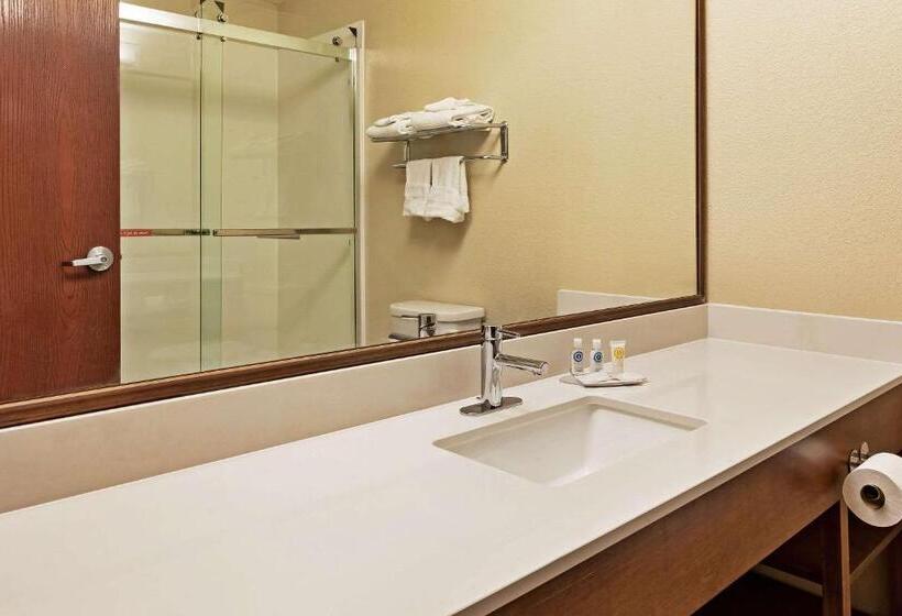 Номер Стандарт, Comfort Inn Whitehall Near Michigan S Adventure