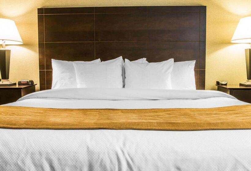Люкс Повышенной Комфортности, Comfort Inn Whitehall Near Michigan S Adventure