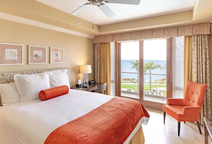 套房带泳池景, Dolphin Bay Resort And Spa