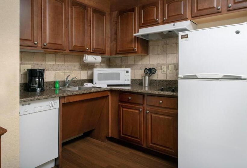 스탠다드 스튜디오, Staybridge Suites North Brunswick, An Ihg