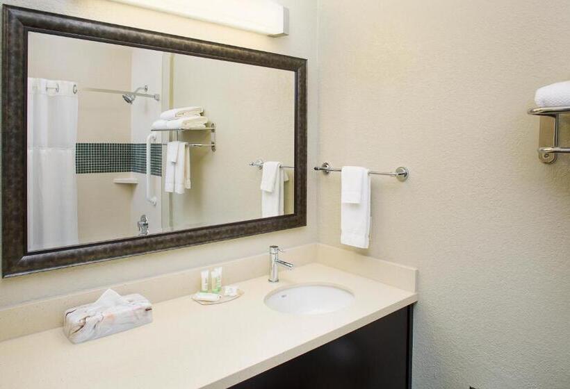 스탠다드 스튜디오 킹침대, Staybridge Suites San Angelo, An Ihg