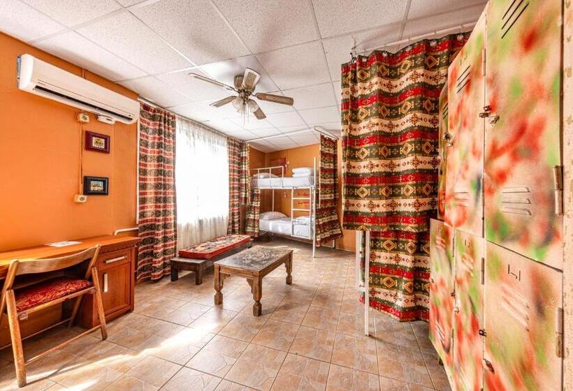 تختخواب در اتاق مشترک, Bahaus Hostel