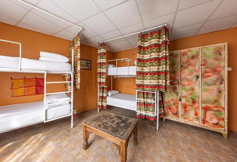 تختخواب در اتاق مشترک, Bahaus Hostel