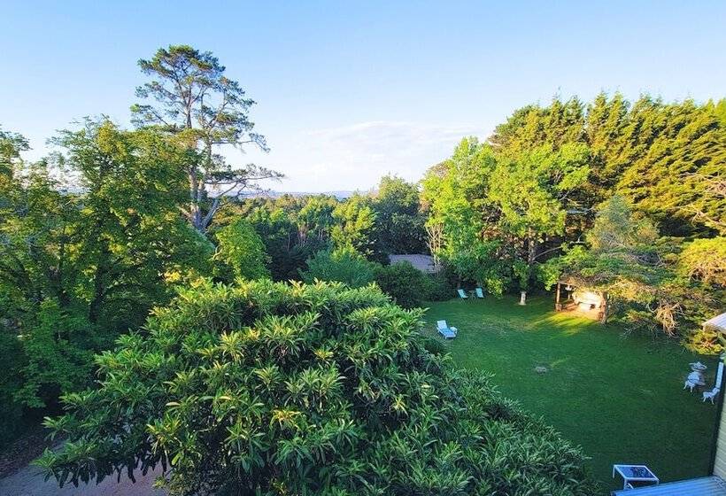 Номер Executive, Leura House