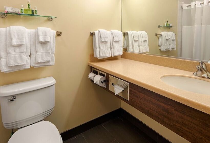 Люкс с Балконом, Best Western Thompson