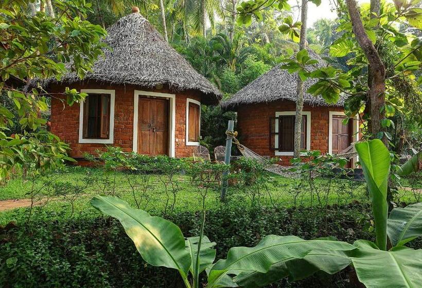스탠다드 룸, Somatheeram Ayurveda Village