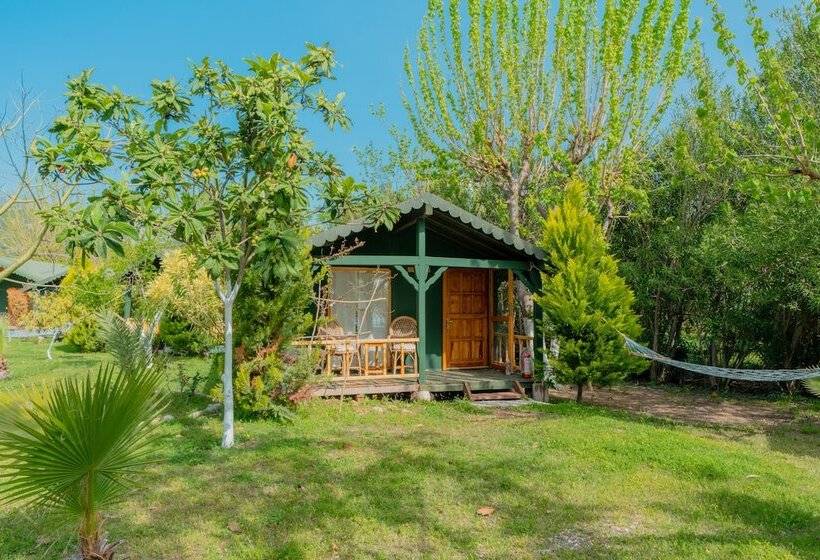 بانگلوی استاندارد, Etenna Beach Bungalows