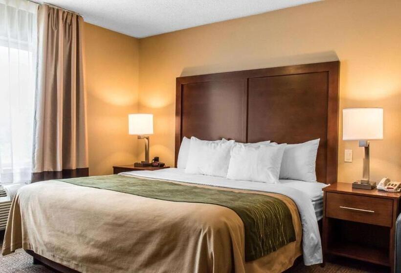 Номер Стандарт Кровать Кинг Адаптированный для Инвалидов, Comfort Inn Columbia Lancaster