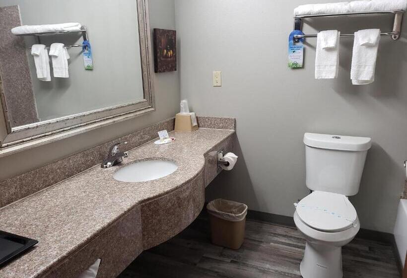 Люкс Кровать Кинг, Days Inn & Suites By Wyndham Cleburne Tx