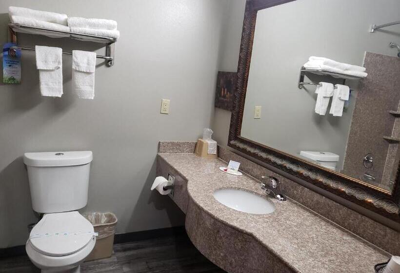 Номер Стандарт Адаптированный для Инвалидов, Days Inn & Suites By Wyndham Cleburne Tx