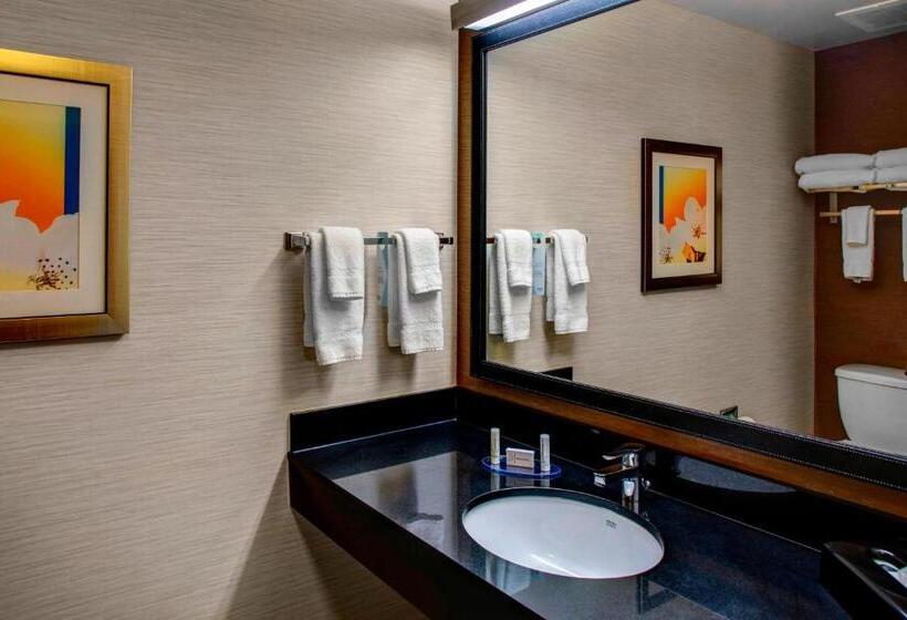带大床的标准工作室, Fairfield Inn And Suites By Marriott Emporia I 95