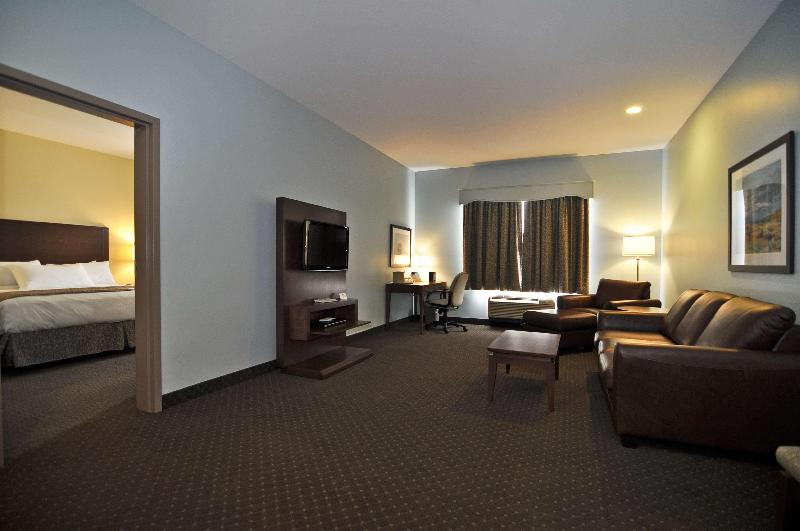 اتاق لوکس با تخت بزرگ, Holiday Inn Express & Suites Elkton   University Area, An Ihg