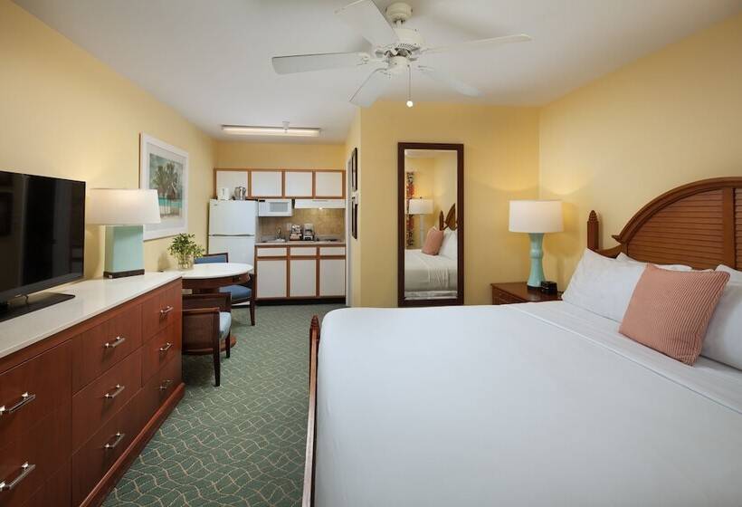 استودیوی استاندارد, Sunshine Suites Resort