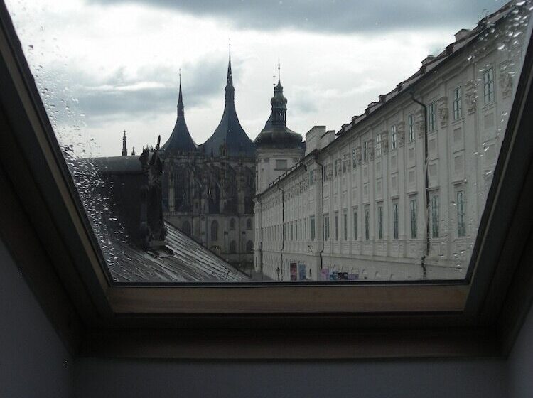 ベーシックルーム, Vila U Varhanáře