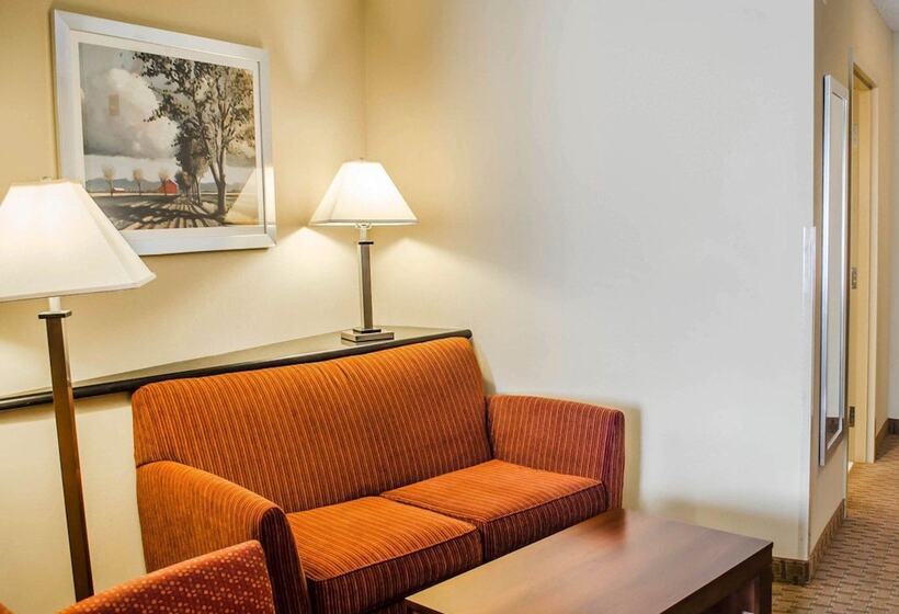Люкс, Comfort Suites Hummelstown  Hershey