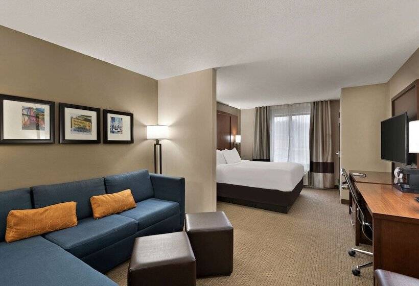 Люкс, Comfort Suites Hummelstown  Hershey