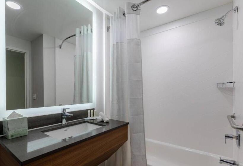 غرفة قياسية سرير كينج, Fairfield Inn & Suites By Marriott Atlanta Stonecrest