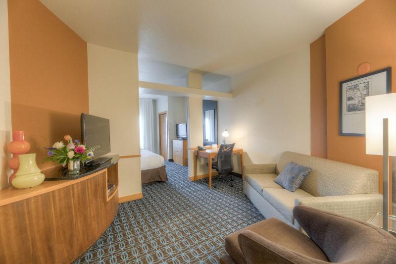 استودیو استاندارد با تخت کینگ, Fairfield Inn And Suites By Marriott Laramie