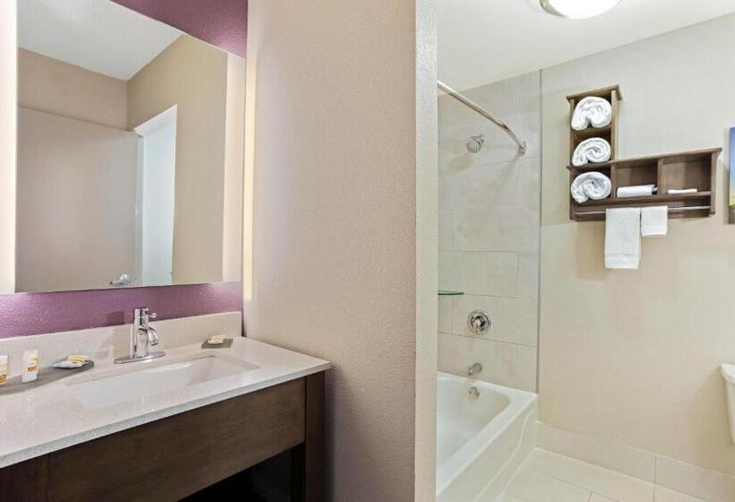 Стандартный Номер Кровать Кинг, La Quinta By Wyndham Hopkinsville